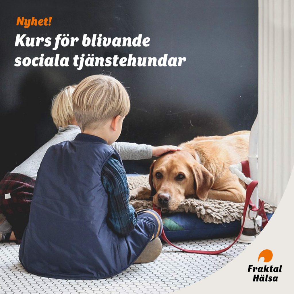 Sociala medier annons